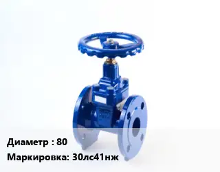 Задвижка стальная 80 30лс41нж